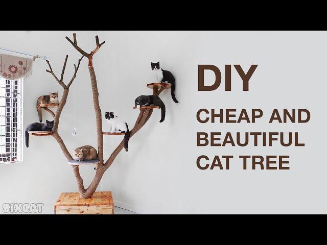 I Made a Cheap and Beautiful DIY Cat Tree Using Tree Branches | SIXCAT