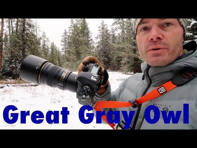 What a Morning! Landscape Photography and a Great Gray Owl in Fresh Snow