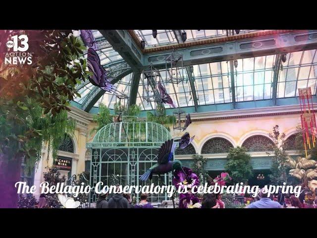 Spring 2021 display at Bellagio Conservatory