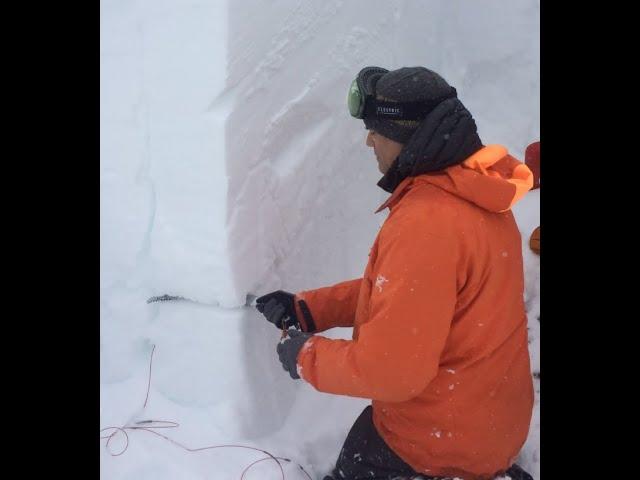 Propagation Saw Test - Early Season Canadian Rockies Snowpack