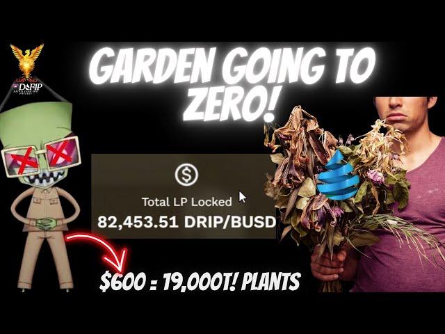 Drip Community Drip Garden update cost for first place