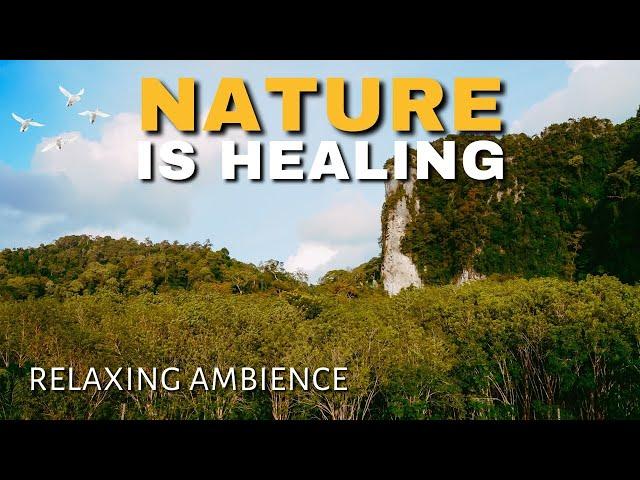 Relaxing Nature Music - Meditation Music, Calming Music, Sleep Music