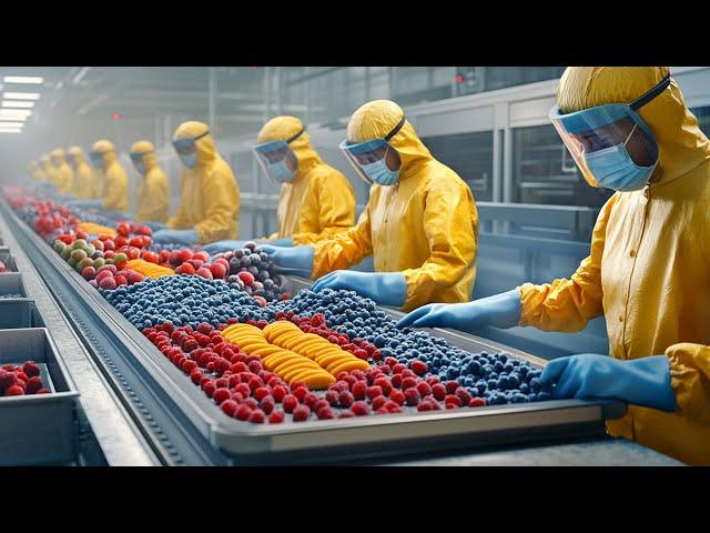 How Frozen Fruit is Made in Factory? | Captain Dicovery