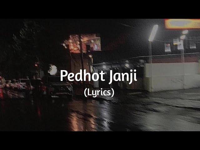 Pedhot Janji ( Speed up & Lyrics ) - Tiktok Version