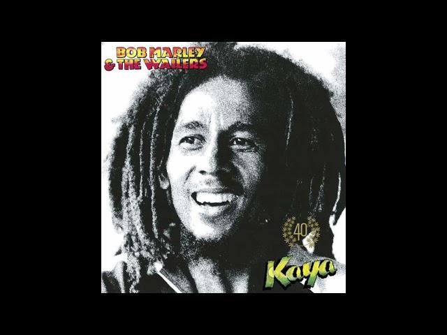 [FREE] BOB MARLEY X REGGAE X STEEL PULSE TYPE BEAT "SHADES" | 2022