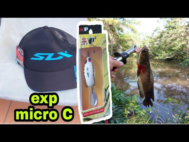 micro frog C  29mm 5g #exp #shorts