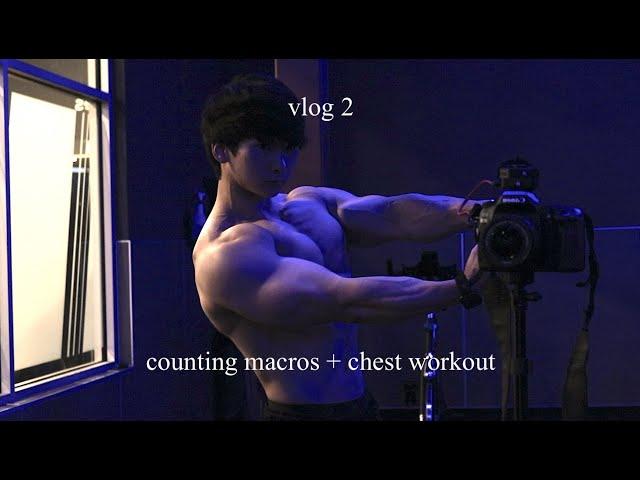 vlog 2 (counting macros + chest workout)