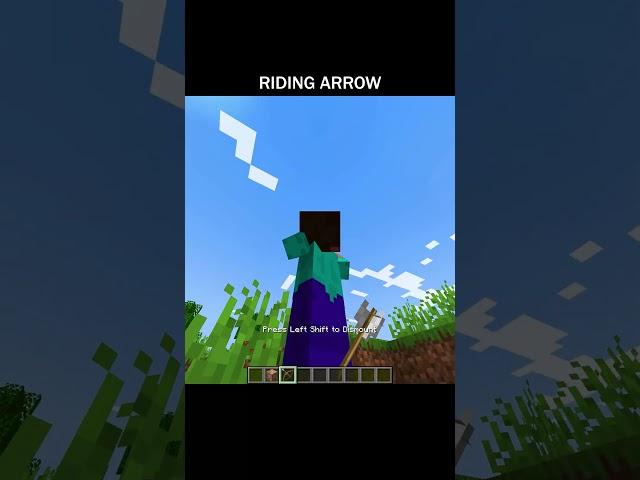 Riding Arrow  #minecraft #shorts