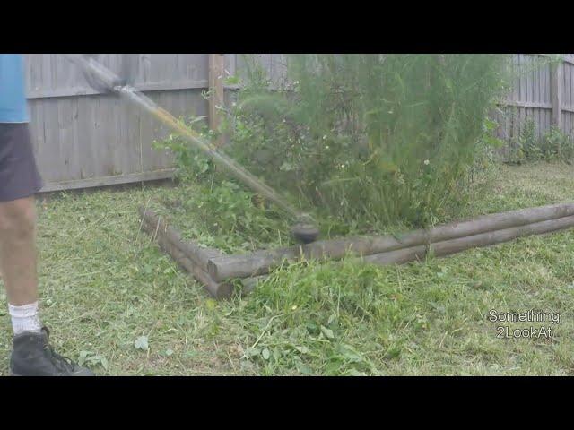 30 MORE minutes of timelapse weed whacking! - Satisfying! Line trimming