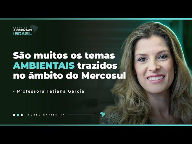 Desafios Ambientais do Brasil - Integração Regional e Agenda Ambiental | Concurso CACD