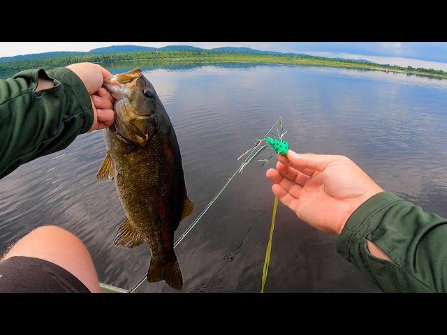 Flyfishing for BIG SMALLMOUTH in Maine with frogs and streamers