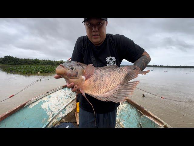 BERBURU IKAN SUNGAI SARAWAK BANYAK BUAYA // BOT TENGGELAM SEBELUM CHEK JARING…//