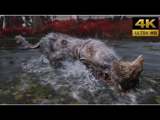 Elden Ring Shadows of the Erdtree - Golden Hippopotamus Boss Fight 4K 60FPS - DLC