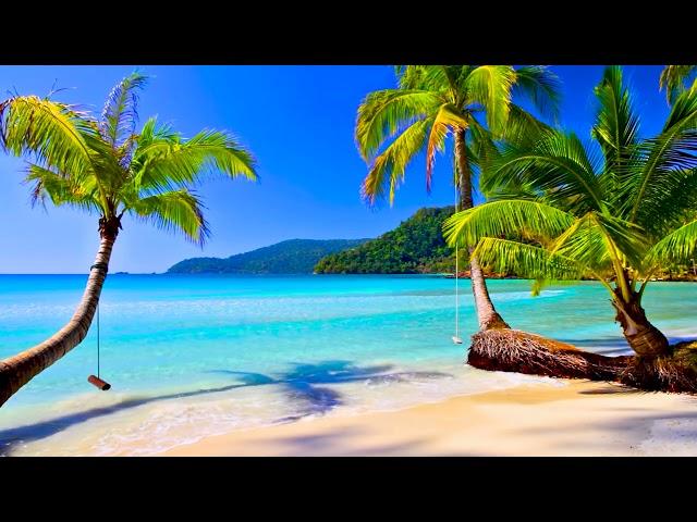 4k UHD Tropical Beach & Palm Trees on a Island, Ocean Sounds, Ocean Waves, White Noise for Sleeping.