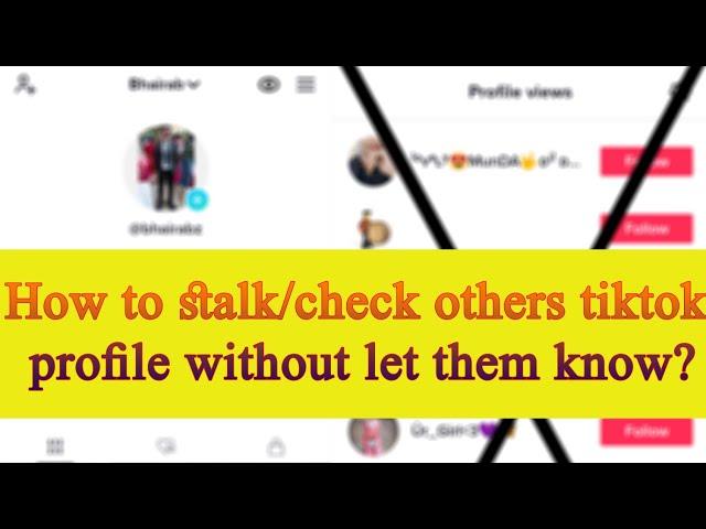 How to stalk/check others tiktok profile without let them know? Watch privately with PC or Mobile