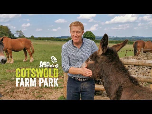 Adam Henson's Farm Diaries Ep0 - Lockdown Life