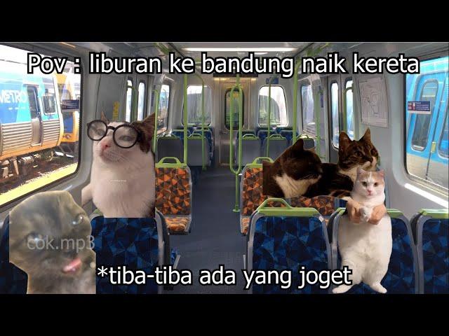 Pov : study tour ke bandung naik kereta | meme kucing  6