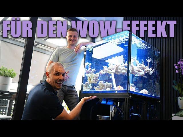 Das AQUARIUM von Dennis - Felix besucht einen Kunden