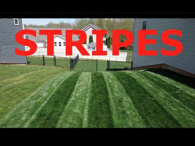 STRIPE a LAWN