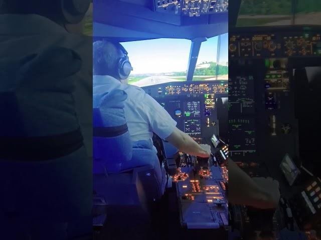 DIY a320 Home Cockpit - RNAV Landing at Labuan Bajo Near Komodo Dragon Island Icao: WATO