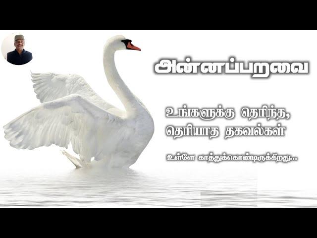 Annaparavai history Tamil l did Swan separate water l Vinoth Kumar