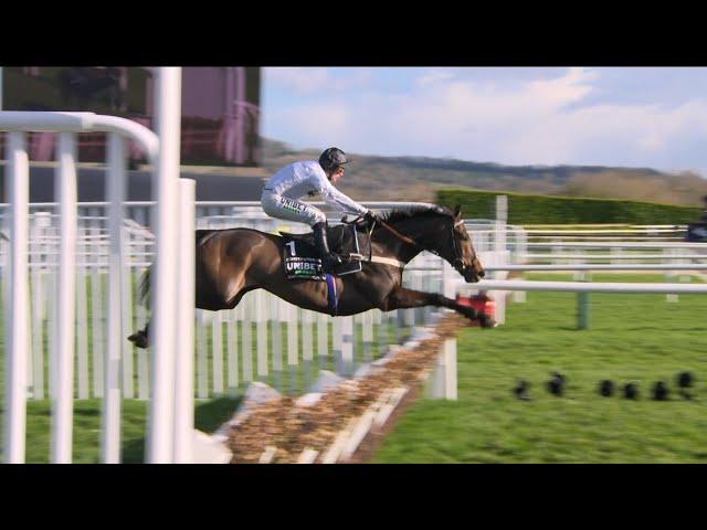 CONSTITUTION HILL is pure perfection as he runs away with the 2023 Champion Hurdle