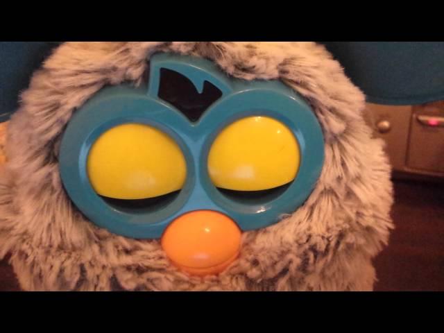 Furby shout-out time