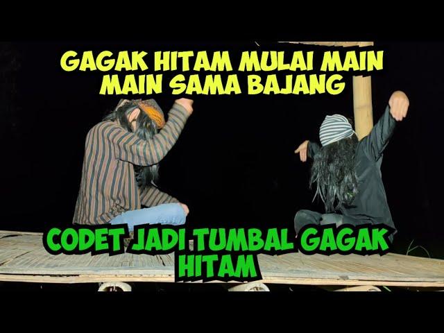 CODET MAU DI JADI KAN TUMBAAL .COBRA & GAGAK HITAM BERSKONGKOL BAJANG MARAH