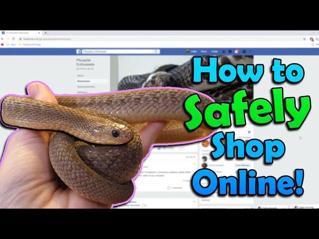 How to Buy Reptiles Online!