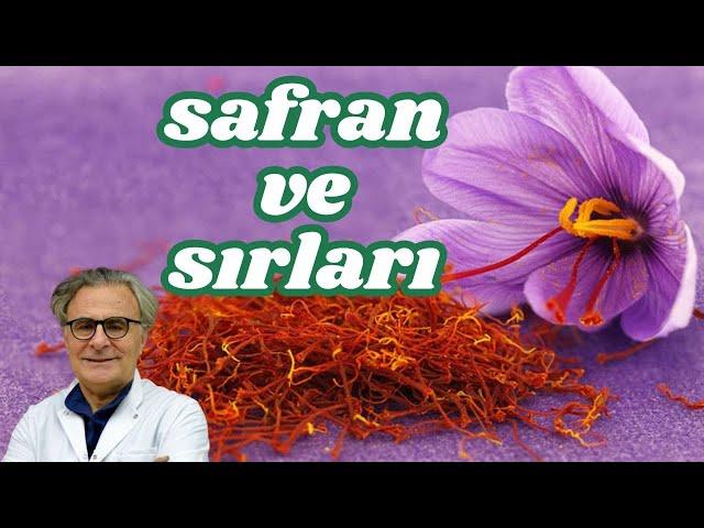 Baharat, Safran Faydaları,  Prof.Dr.Serdar Akgün, Serdar Akgün Tıp Videolarıı