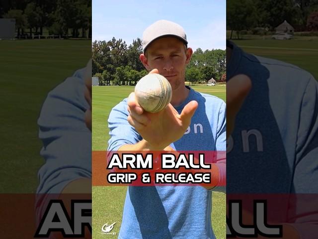 Arm Ball: Grip & Release - SUPER EASY