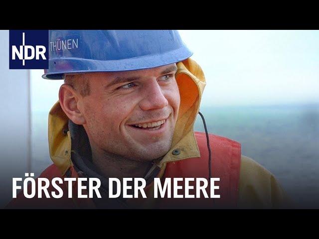 Vom Ostseefischer zum „Sea Ranger“ | Die Nordreportage | NDR Doku