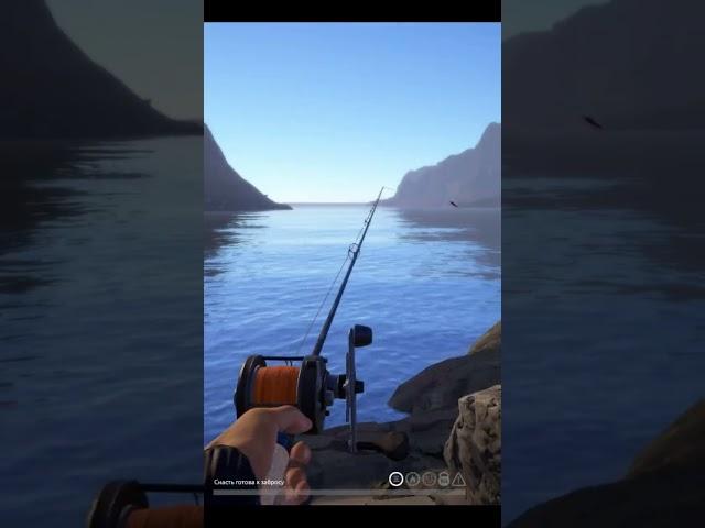 Spinning fishing in the Norwegian Sea. Russian fishing 4 rf4 #shorts #fishing #gaming