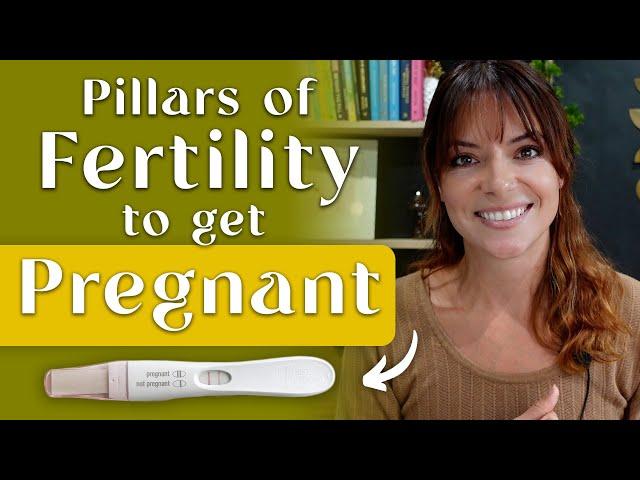 How To Use The 5 Pillars of Fertility to Get Pregnant