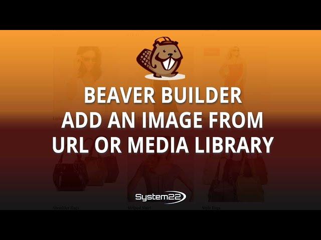 Beaver Builder Add An Image From URL Or Media Library