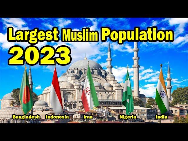 Top 10 Largest Islamic Countries In The World (2024)