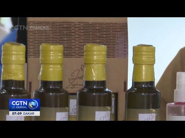 La Tunisie demeure l'un des principaux exportateurs mondiaux d'huile d'olive