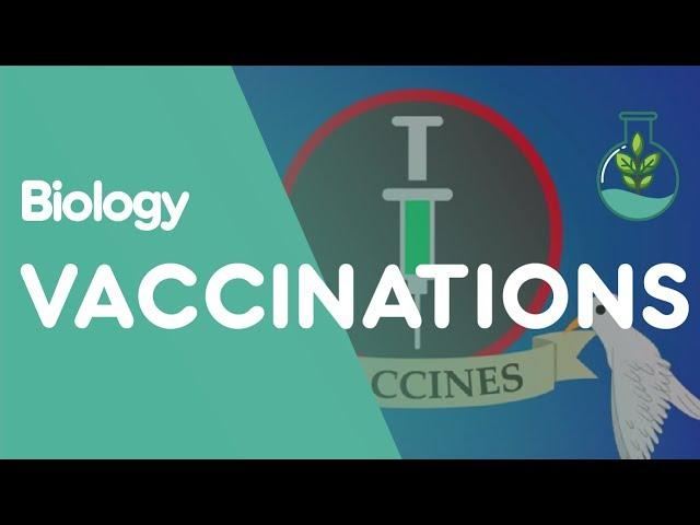 What Are Vaccinations? | Health | Biology | FuseSchool