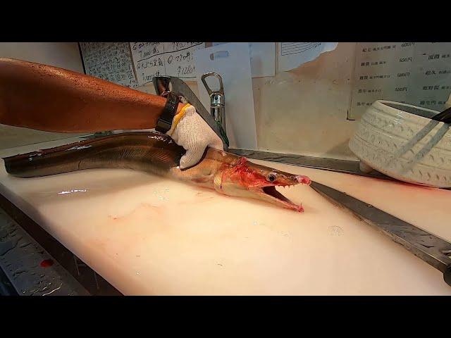 骨切り ‘Honekiri’ (Bone-cutting) of a fierce Daggertooth Pike Conger Eel , Seafood Japan (ASMR)