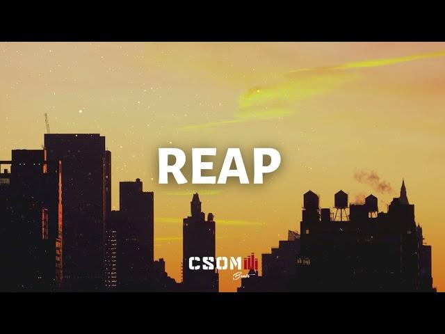 Reap - Nas Type Beat | Smooth Chill Old School Melodic Boom Bap Type Beat 2022