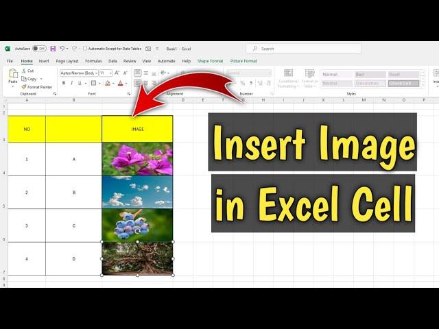 How to insert image in excel cell