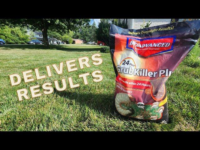 Bio Advanced 24-hour Grub Killer Plus // The Best Grub Control in the Fall?