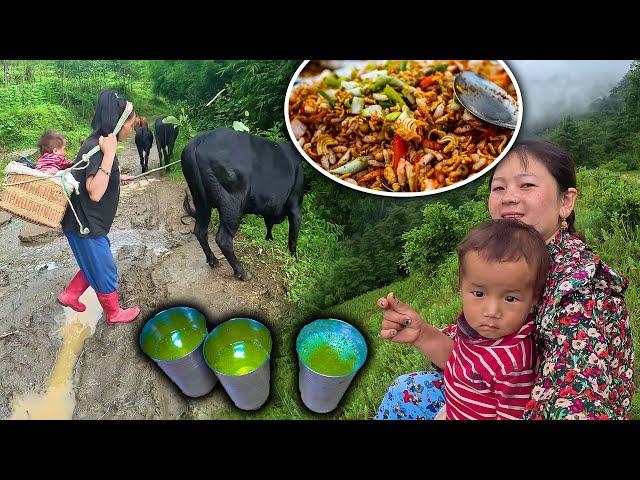 Herding cows & bullocks. Me, Sano Dima & Saya Hang || Chatpate सानो दिमा र साया हाङ संग गोठालो गरेको