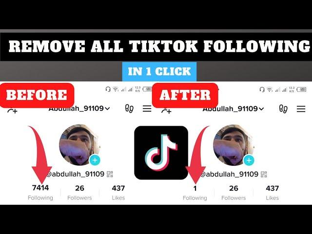 How to unfollow everyone on TikTok in one single click?
