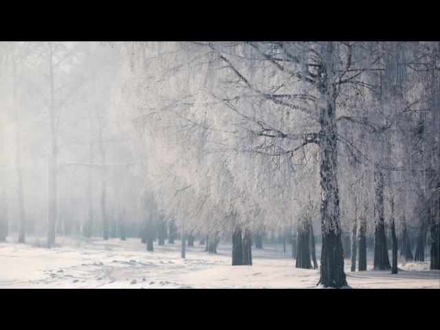 Diary of Dreams - Winter Souls