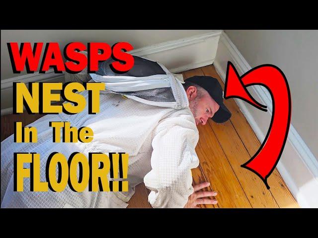 I Can HEAR Them In YOUR Floor! | MASSIVE Yellow Jackets Nests!