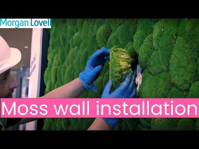 Moss wall installation in a modern London office