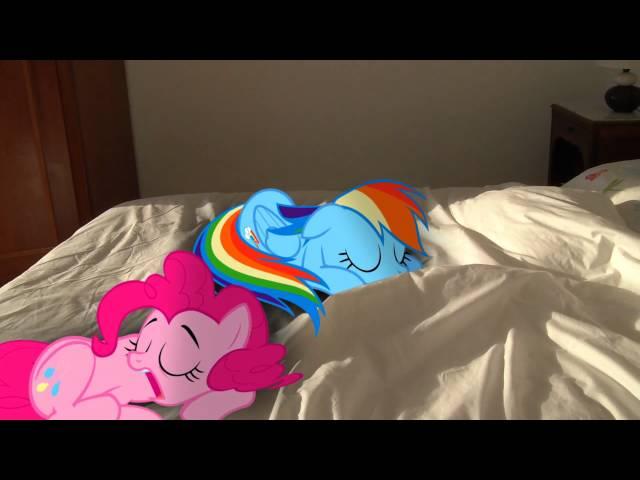 Rainbow Dash and Pinkie Pie Sleeping (MLP in real life)