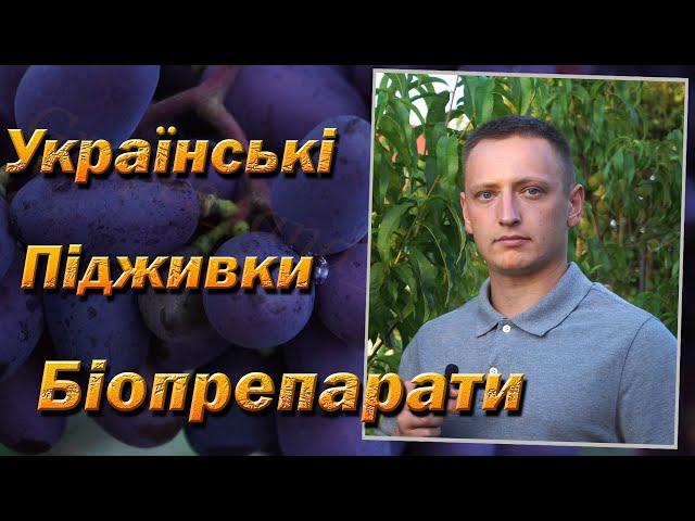 Біопрепарати українського виробництва. Гаубсин Форте, Триходермін, Фітодоктор