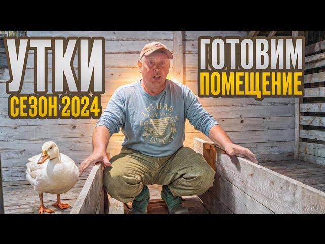 УТКИ сезон 2024: подготавливаю помещения, отвечаю на вопросы. "Мое Подворье"